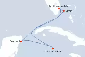 Celebrity Reflection