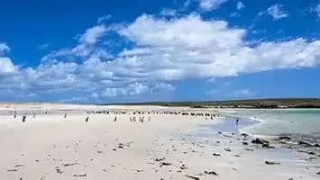 Ilhas Malvinas