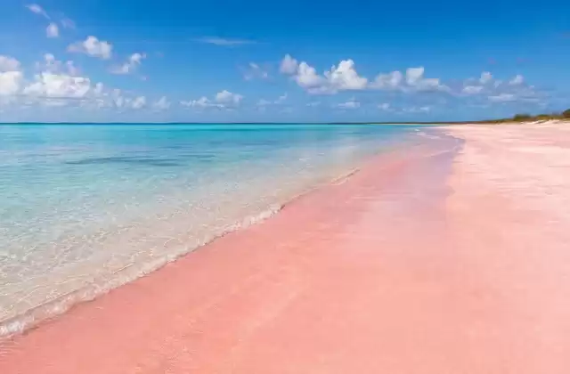 Pink Sand Beach