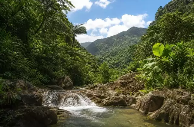 Em Porto Rico
