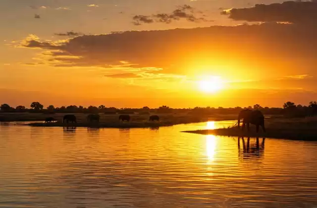 O pôr do sol no Chobé