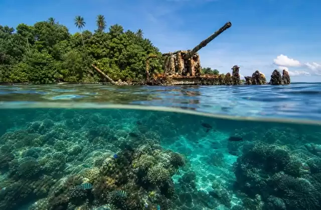 Nos arredores de Kennedy Island