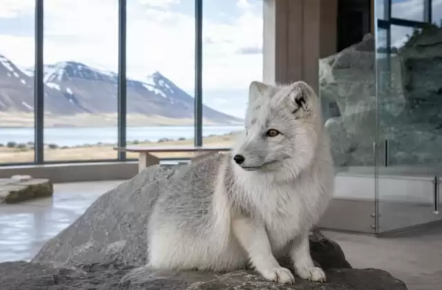 Em Ísafjörður