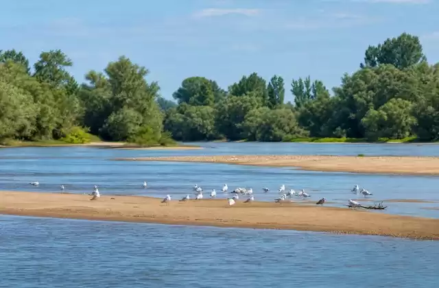 Ilhas do Loire