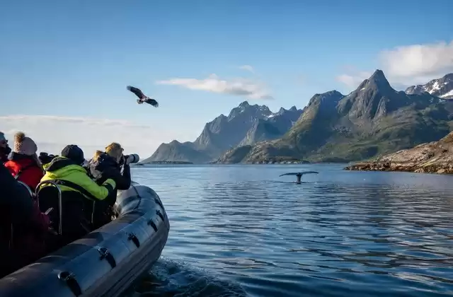 No arquipélago de Lofoten
