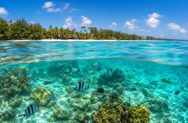 Na ilha Maurícia