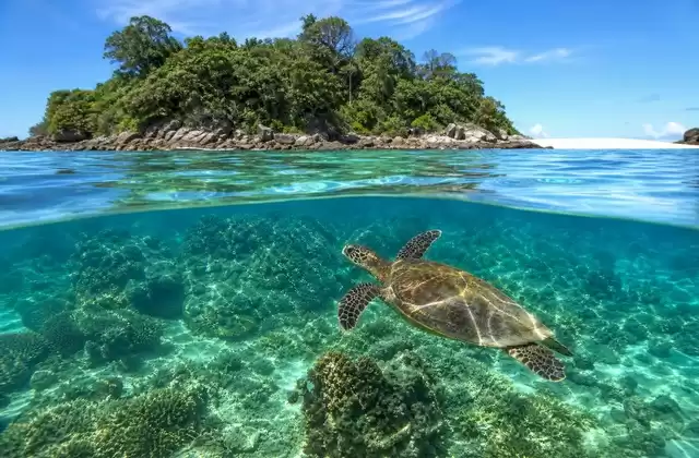 Em Madagáscar (Nosy Be)