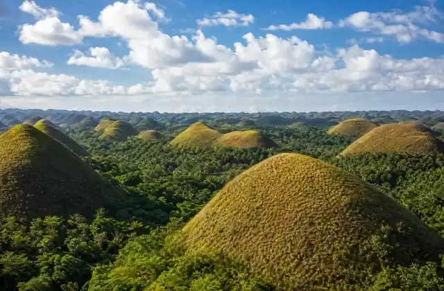 Em Bohol