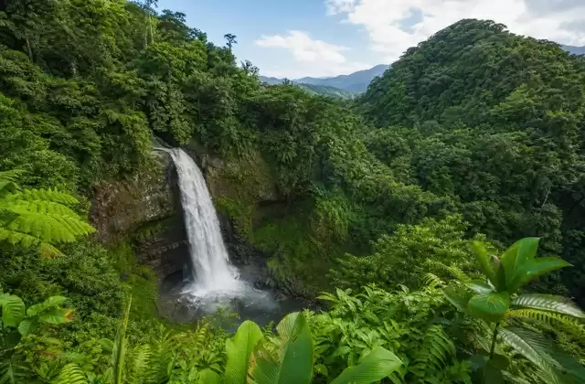 Em El Yunque