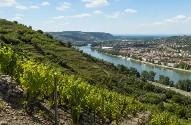 Em Tain-l’Hermitage