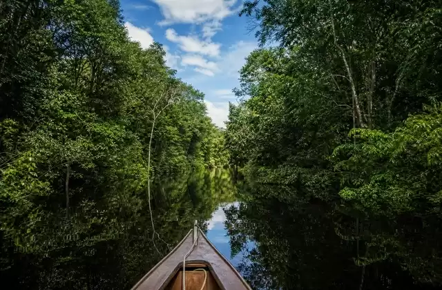 Navegação no Rio Negro