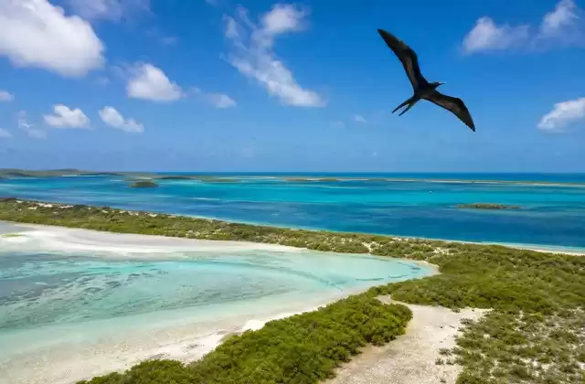 Codrington Lagoon