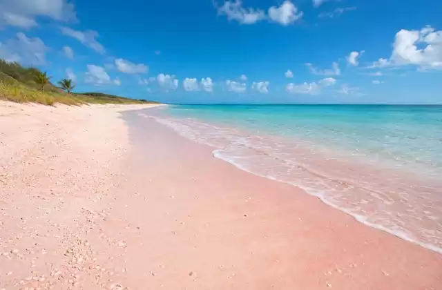 Pink Sand Beach