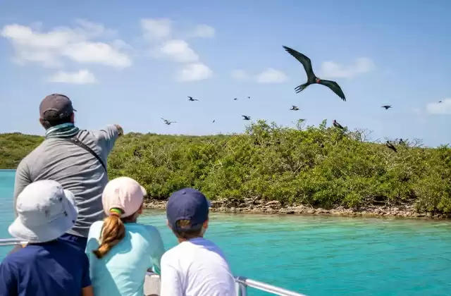 Codrington Lagoon