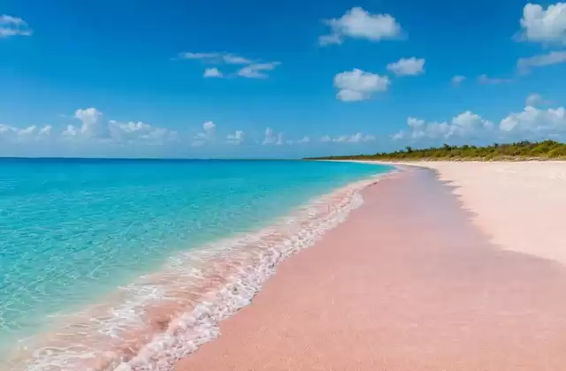 Pink Sand Beach