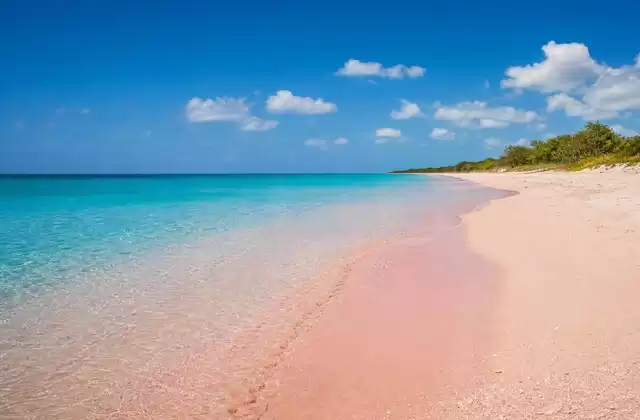 Pink Sand Beach