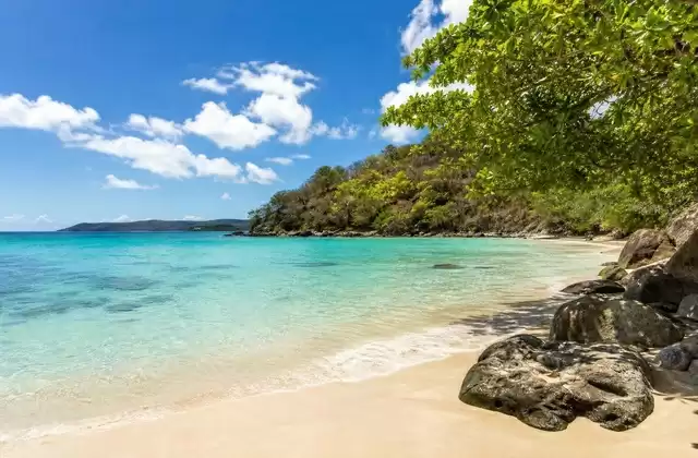 Darkwood Beach