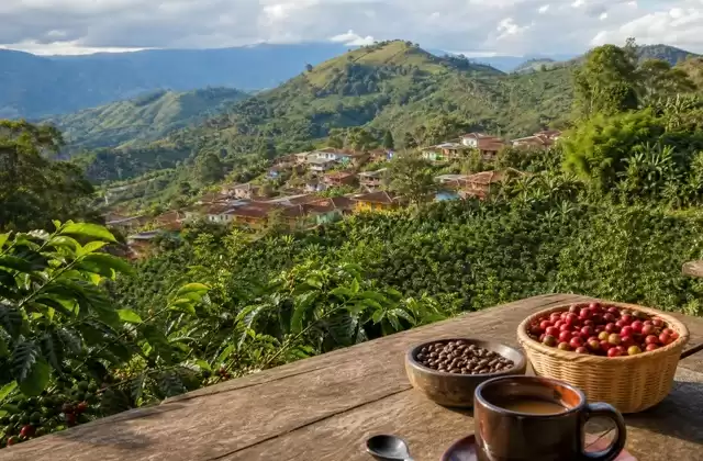 Região cafeeira