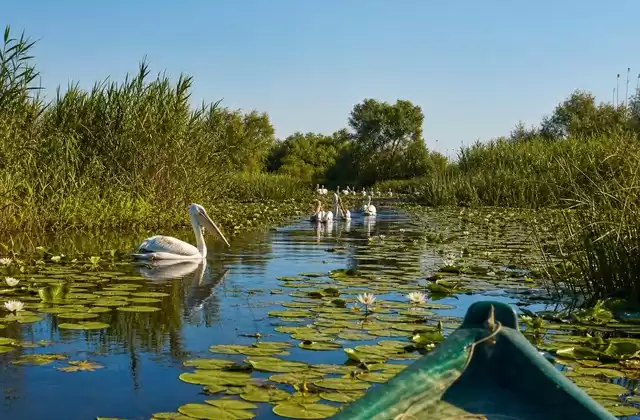 O delta do Danúbio numa pequena embarcação
