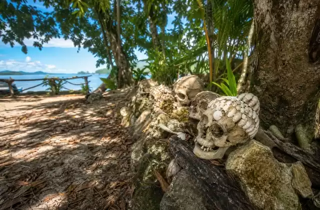 Skull Island