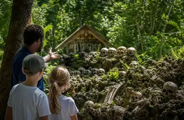 Skull Island