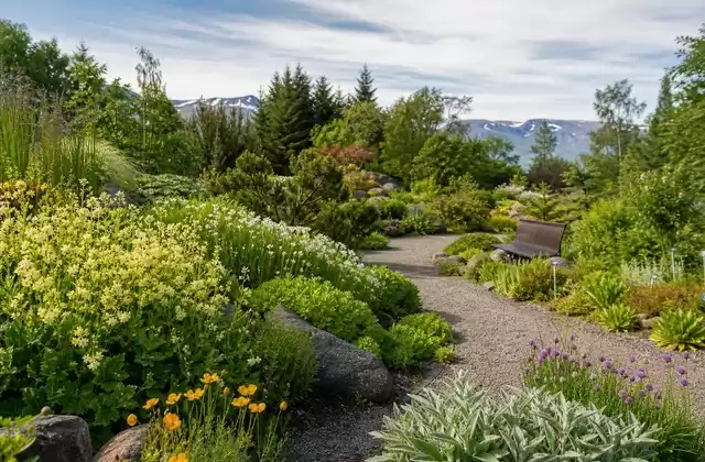 Jardim Botânico de Akureyri