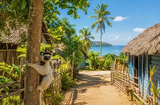 Nosy Komba