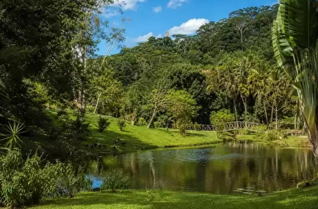 Ivoloina-Park