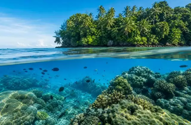 Recifes de Kosrae