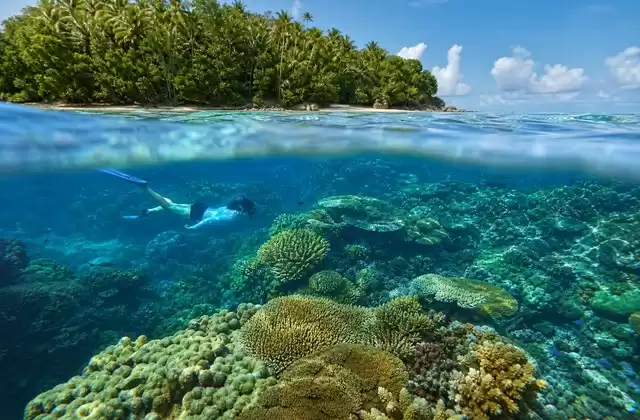 Recifes de Kosrae