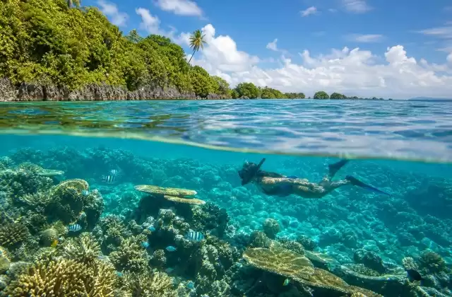 Recifes de Kosrae