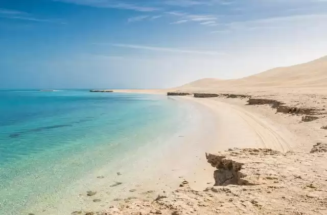 Sealine