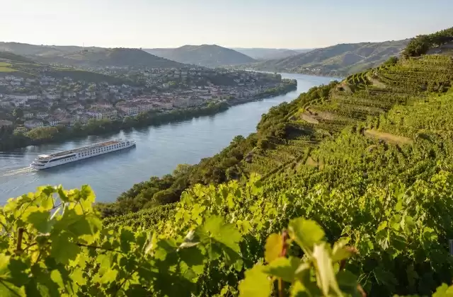 As vinhas de Tain-l'Hermitage