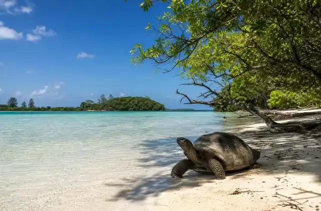 Aldabra