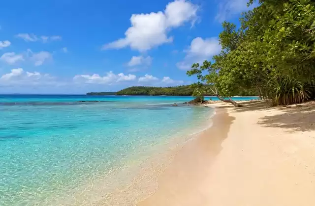 Champagne Beach