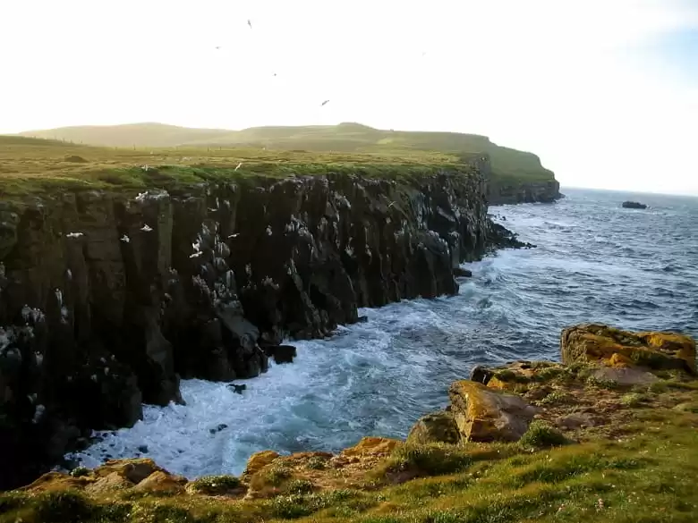 Ilha de Grimsey